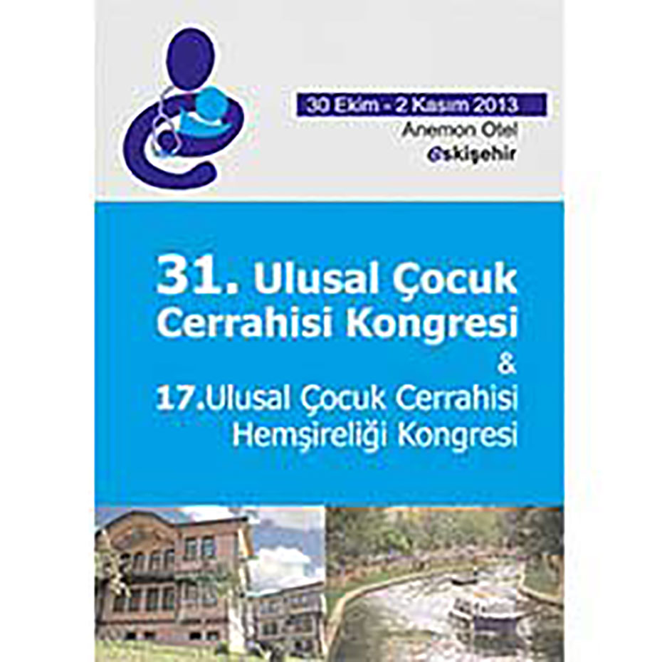 ÇCHD 2013