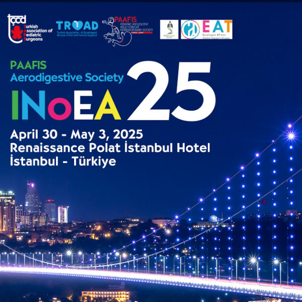 INoEA 2025
